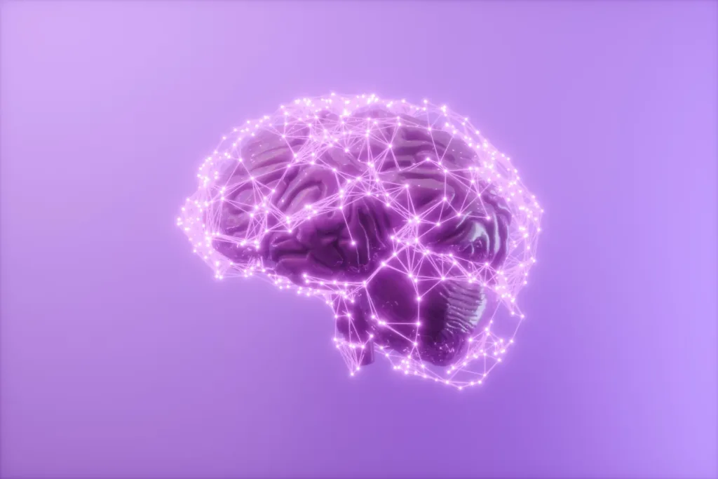 3d-human-brain effects of stimulants