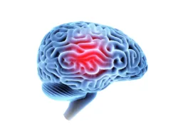 Addiction and the brain