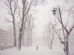 Photo of a man walking a street in winter