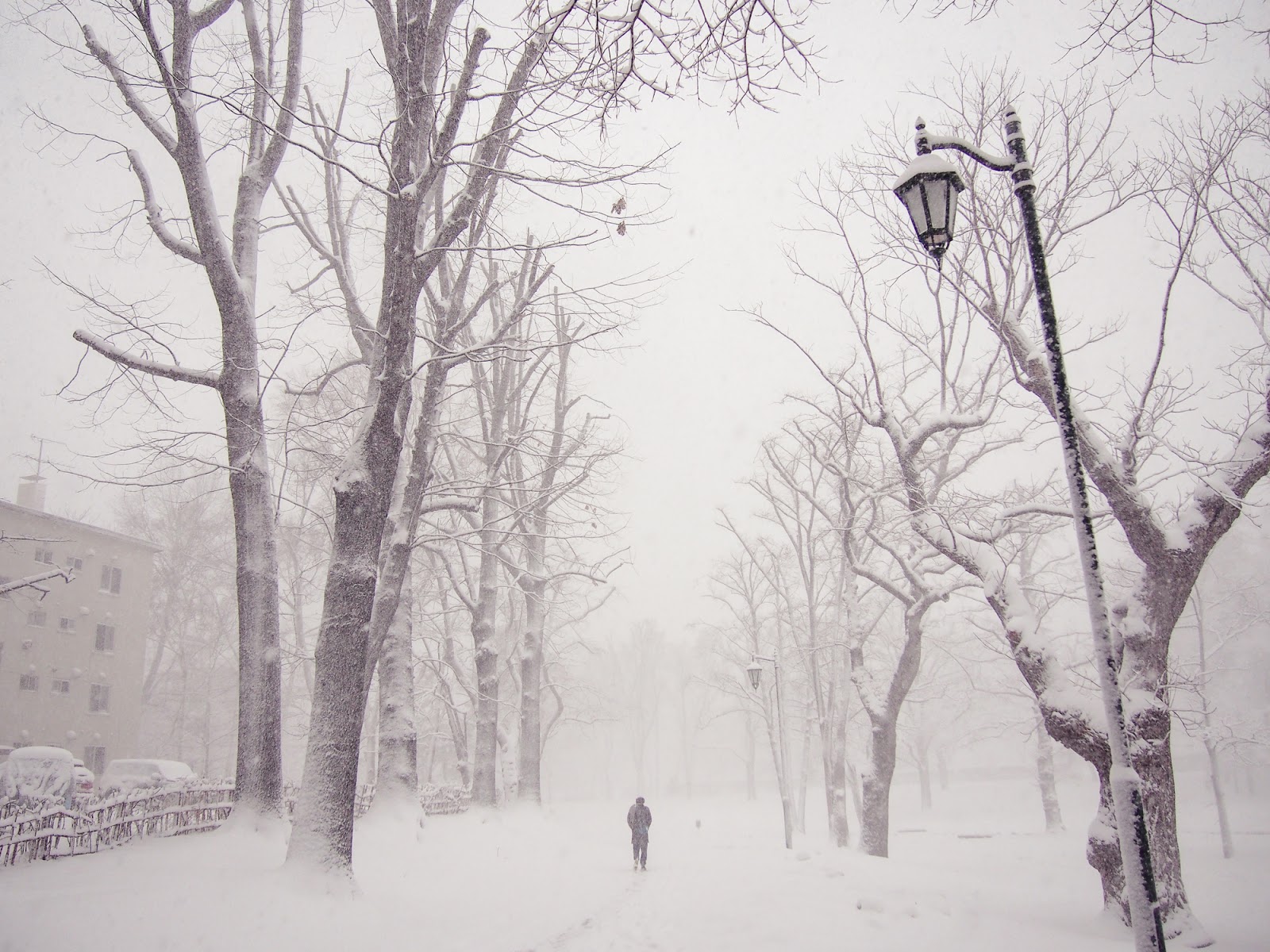 Photo of a man walking a street in winter