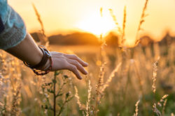 Beautiful asian woman standing on grass field with landscape of sunset in summer