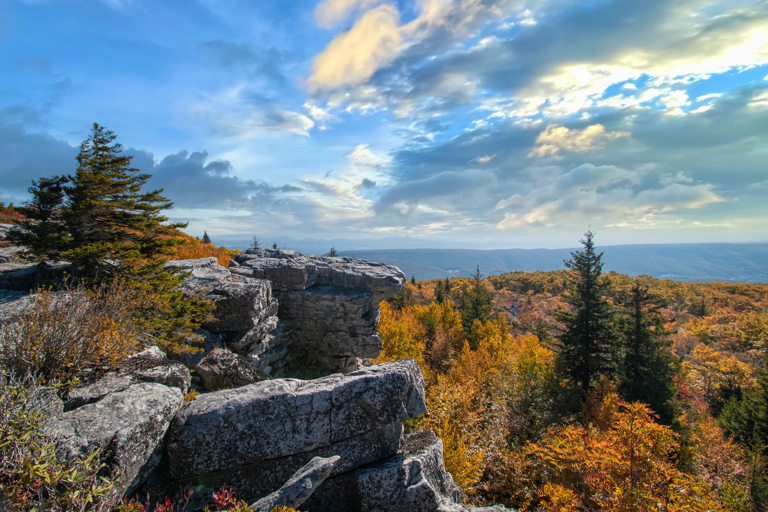 The 17,371 acre Dolly Sods Wilderness in the Monongahela National Forest is part of the National Wilderness Preservation System. It is located in West Virginia. The Dolly Sods Wilderness contains bog and heath eco-types, more commonly typical to southern Canada. Elevations range from 2,500 to over 4,700 feet.