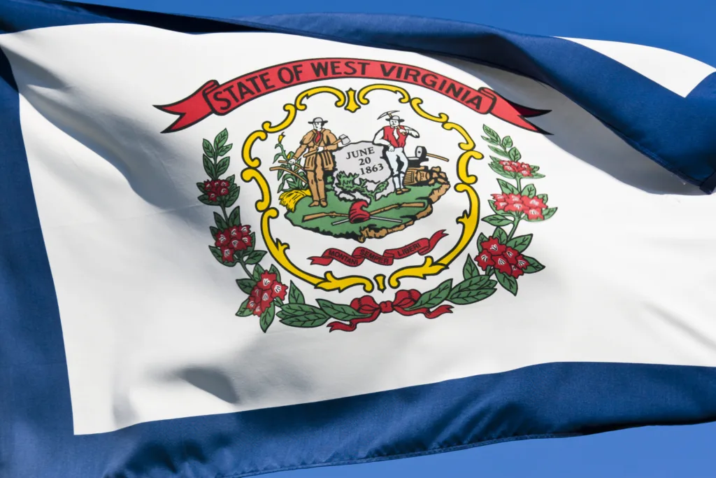 The flag of West Virginia blowing in a stiff breeze.